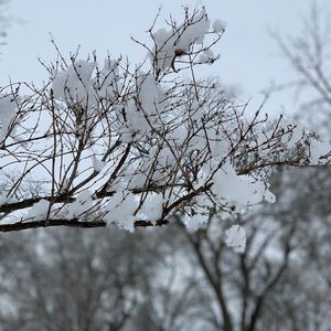 Meet your Posher, Anali